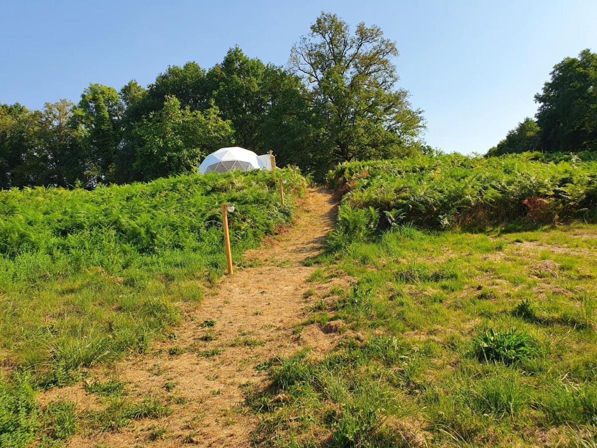 Moulin Du Pommier Glamping & Camping Saulgond エクステリア 写真